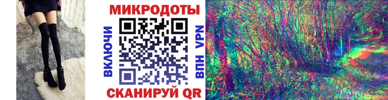 Галлюциногенные грибы Psilocybe  купить закладку  Лениногорск 